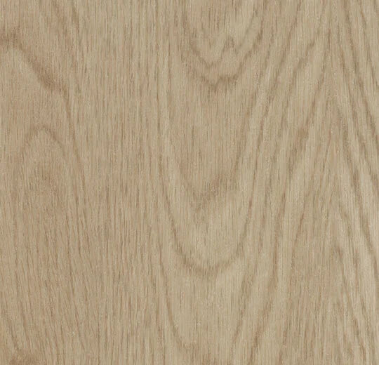 Whitewash Elegant Oak - 60064FL5