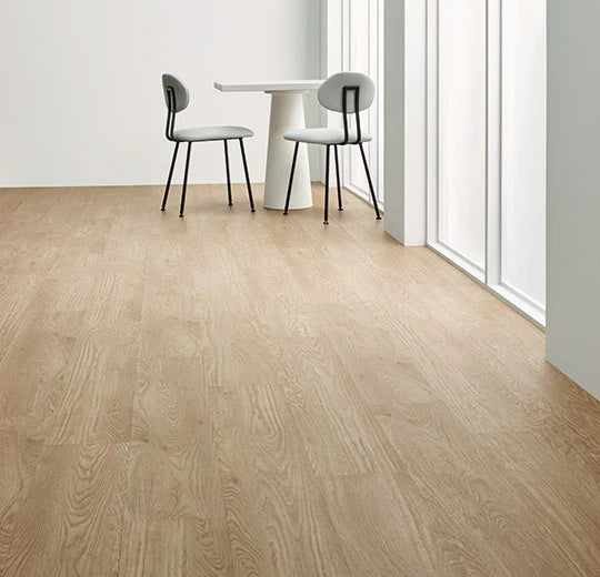 Whitewash Elegant Oak - 60064FL5