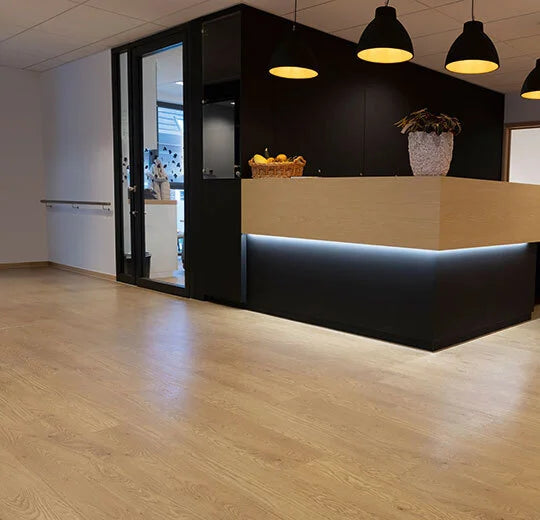 Honey Elegant Oak - 60065FL5