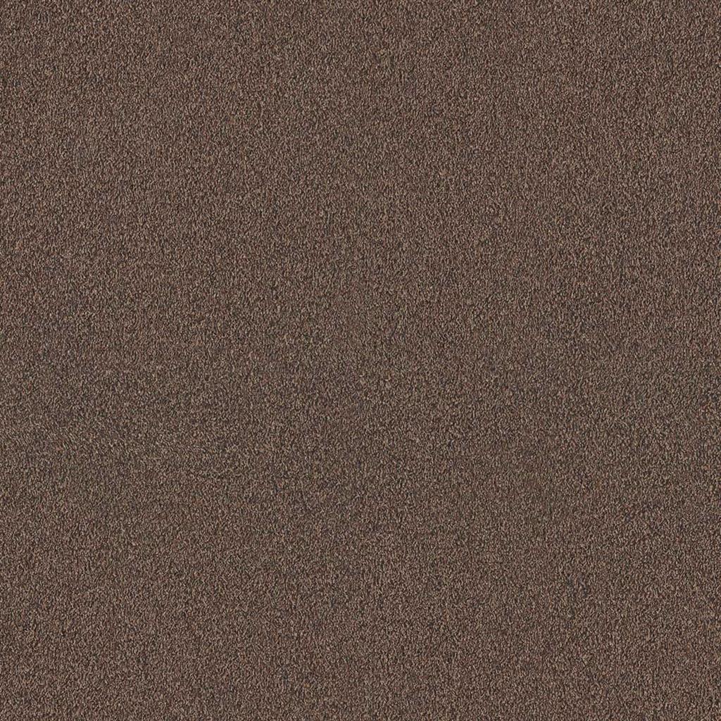 Lobby Sepiabruin - 0670