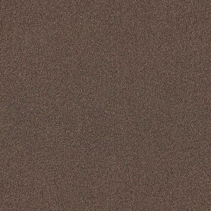 Lobby Sepiabruin - 0670