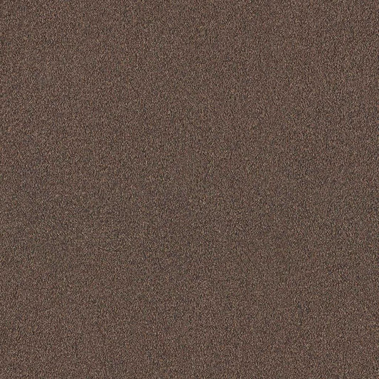 Lobby Sepiabruin - 0670