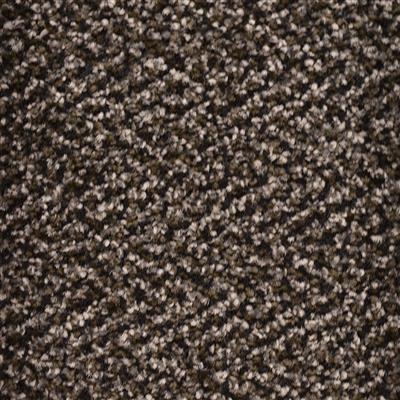 Salon Beige Brown - M220