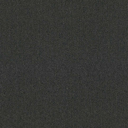 Passage Elephant - M210