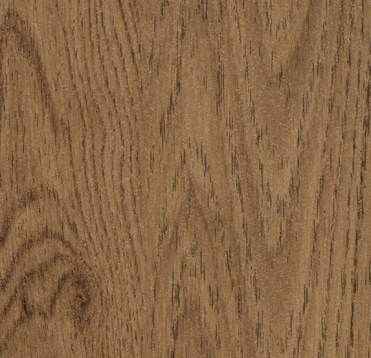 Amber Elegant Oak - 60068FL5