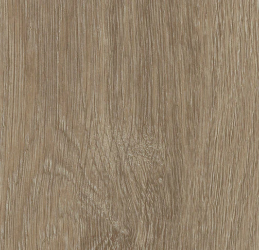 Light Giant Oak - 60288CF5