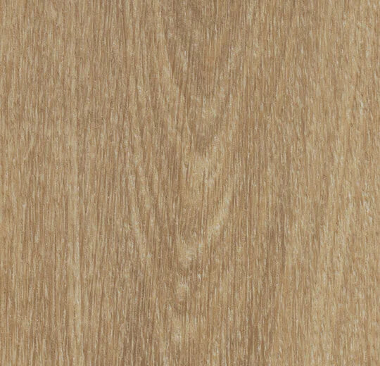 Natural Giant Oak - 60284CF5
