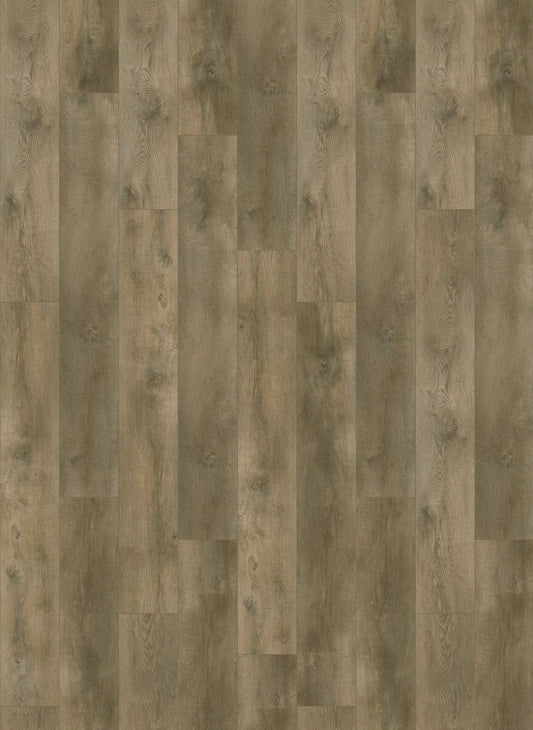 Valley Oak Pepper - Nevada 6001 (dryback)