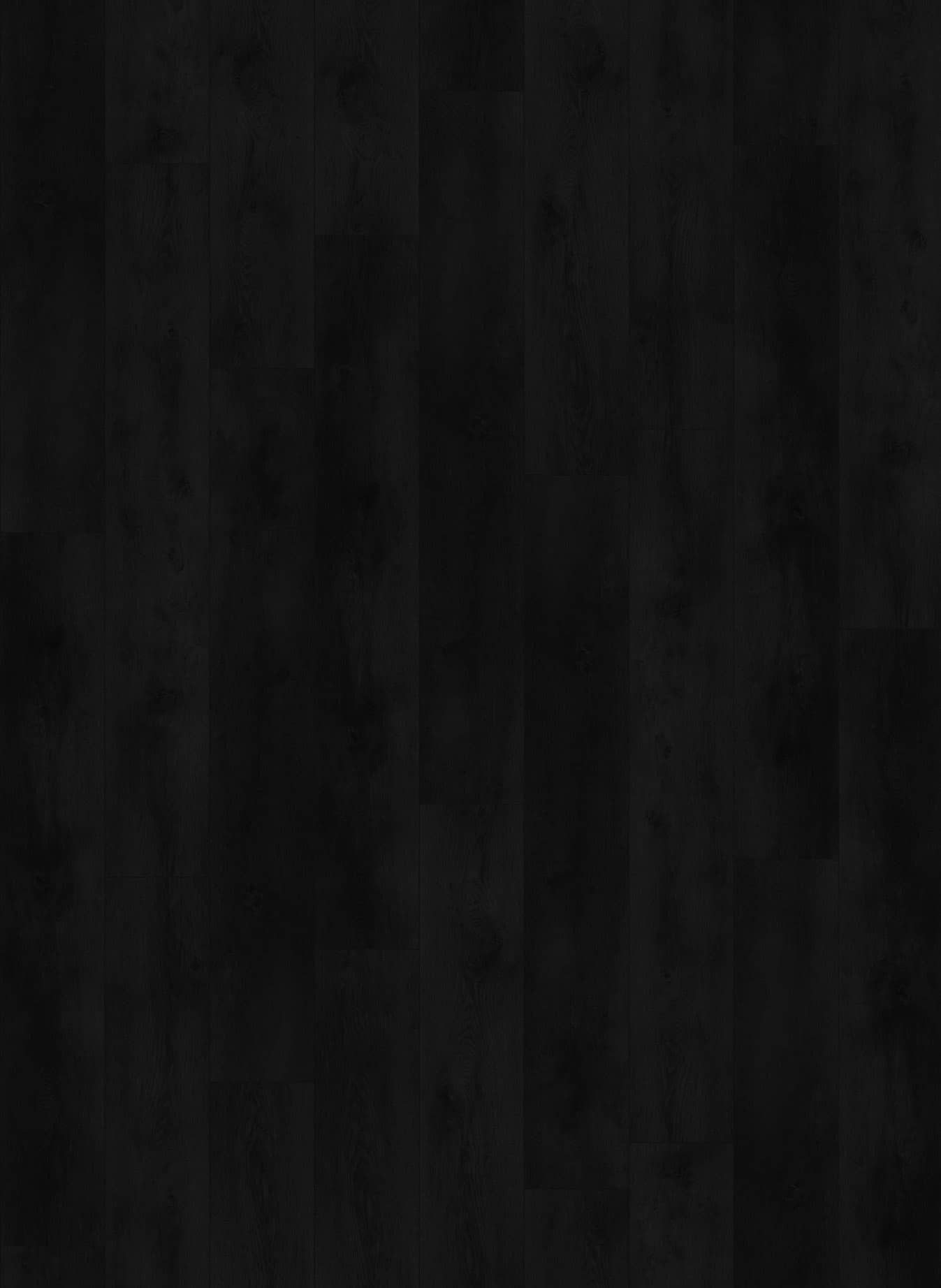 Valley Oak Charcoal- Nevada 6003 (dryback)