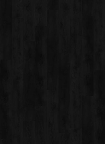 Valley Oak Charcoal- Nevada 6003 (dryback)