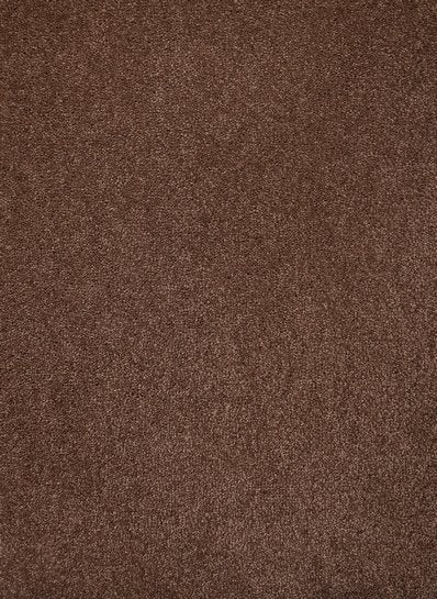 Bruin - Adventure 92