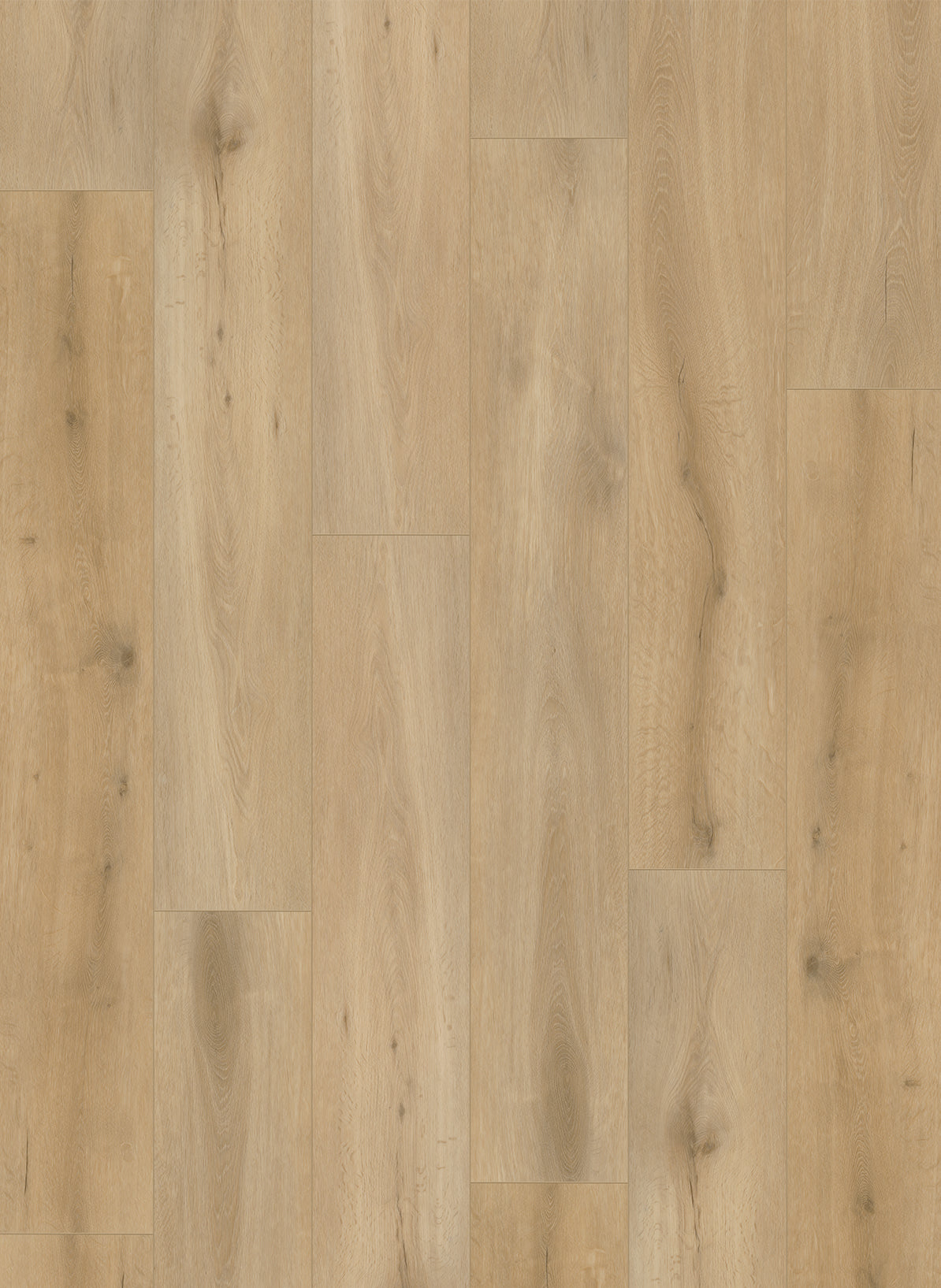 Natural Oak Light - Callisto 4101