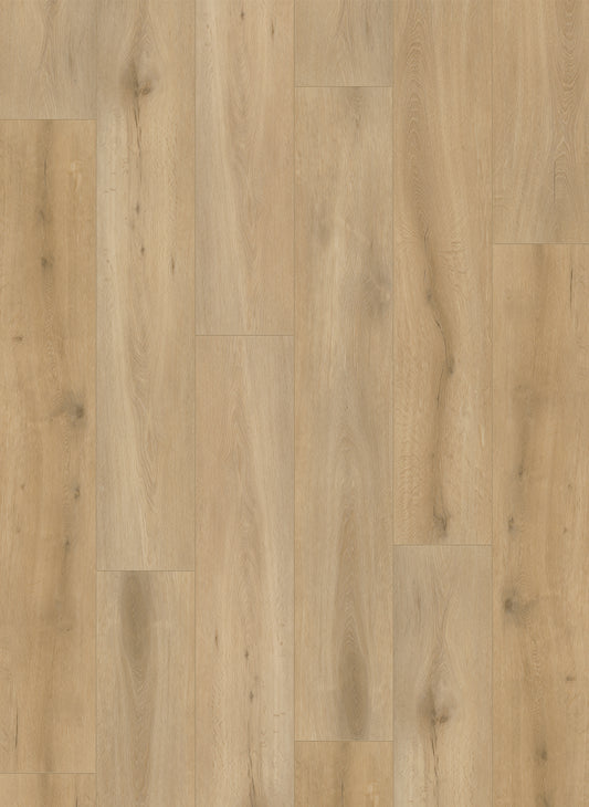 Natural Oak Light - Callisto 4101