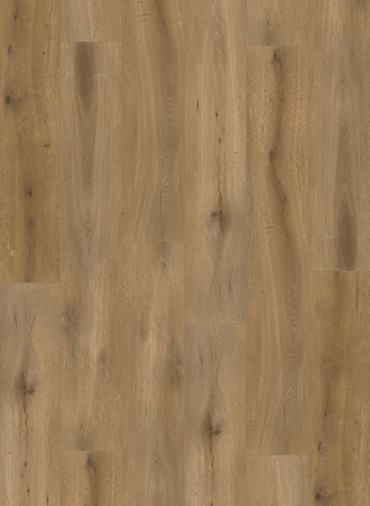 Natural Oak - Callisto 4102