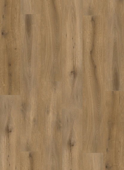 Natural Oak - Callisto 4102