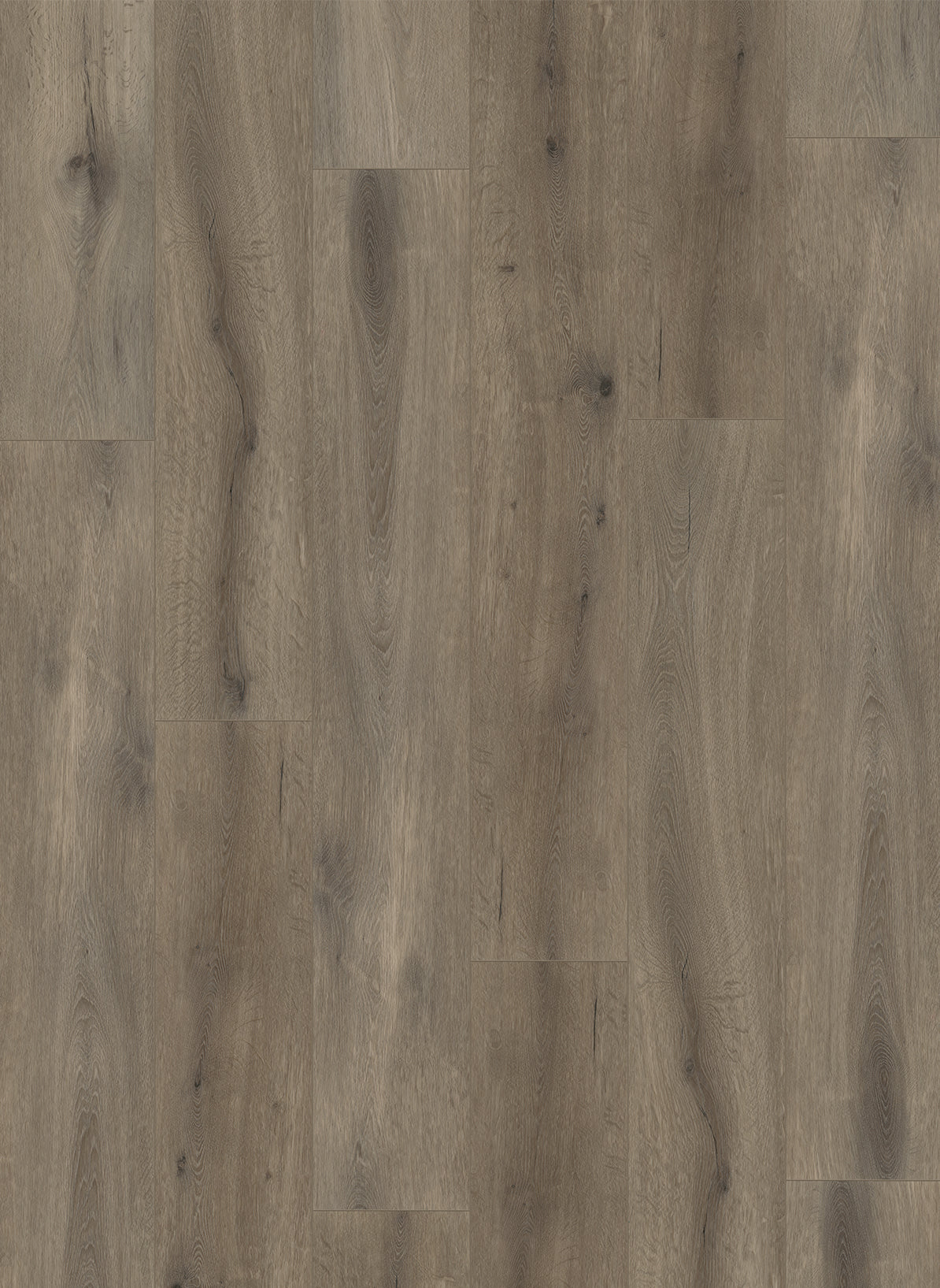 Natural Oak Brown - Callisto 4105