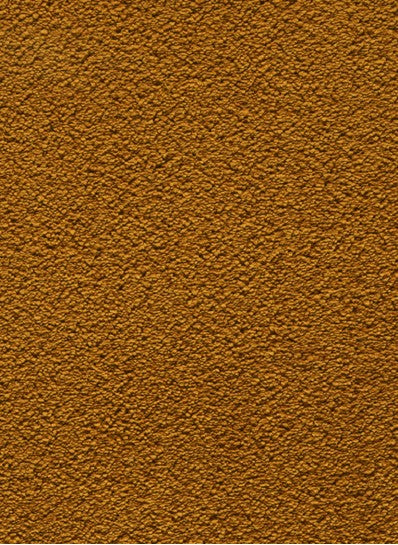 Okergeel - Castana 55