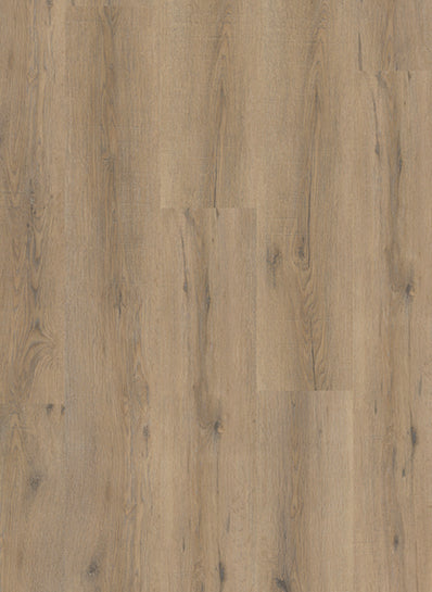 Smoked Oak Light - City 5600 (rigid click)