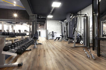 Smoked Oak Natural - City 4601