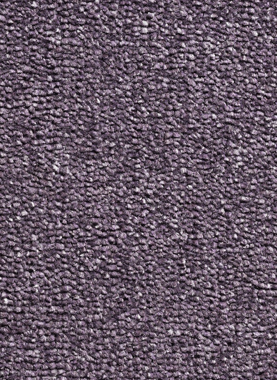 Discover 15 - Lavendel