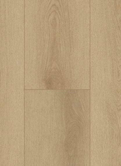 Sierra light - Firmfit 6500