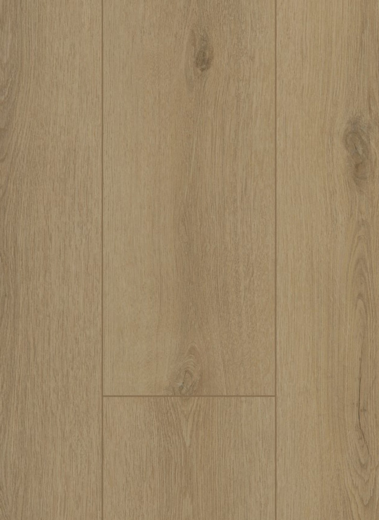 Sierra Beige - Firmfit 6501