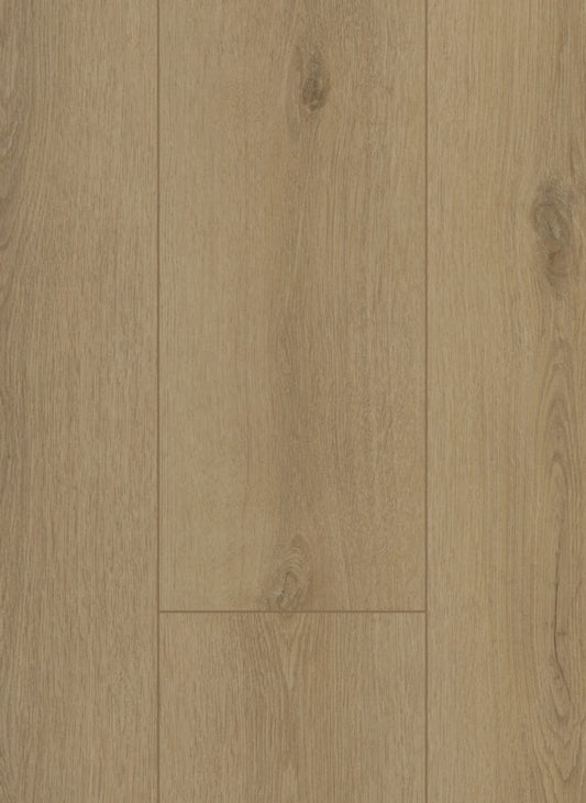 Sierra Beige - Firmfit 6501