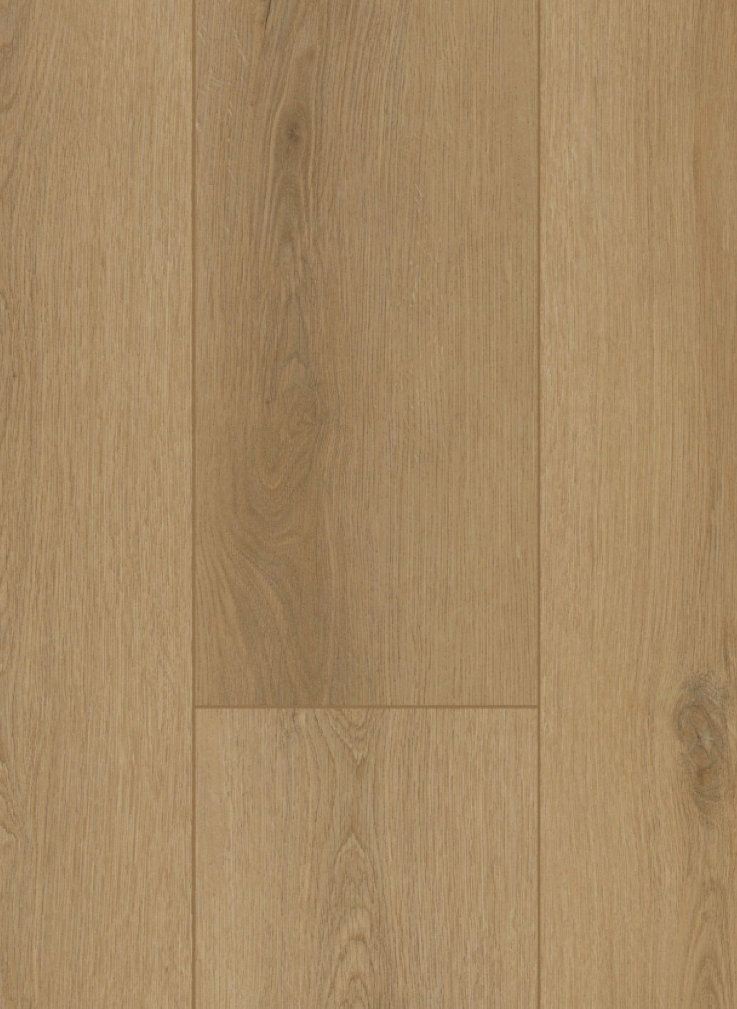 Sierra Naturel - Firmfit 6502 (dryback)