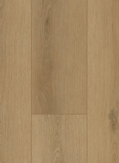 Sierra Naturel - Firmfit 6502 (dryback)