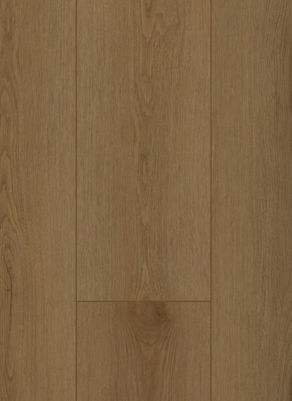 Sierra Brown - Firmfit 6503 (dryback)