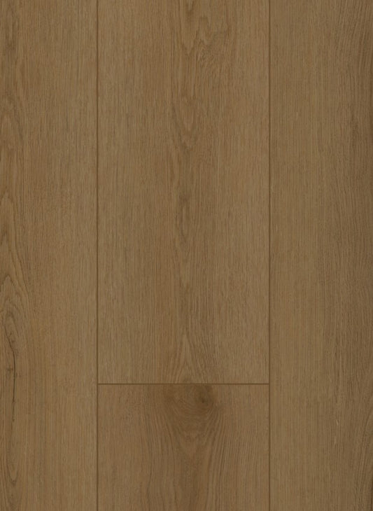 Sierra Brown - Firmfit 6503 (dryback)