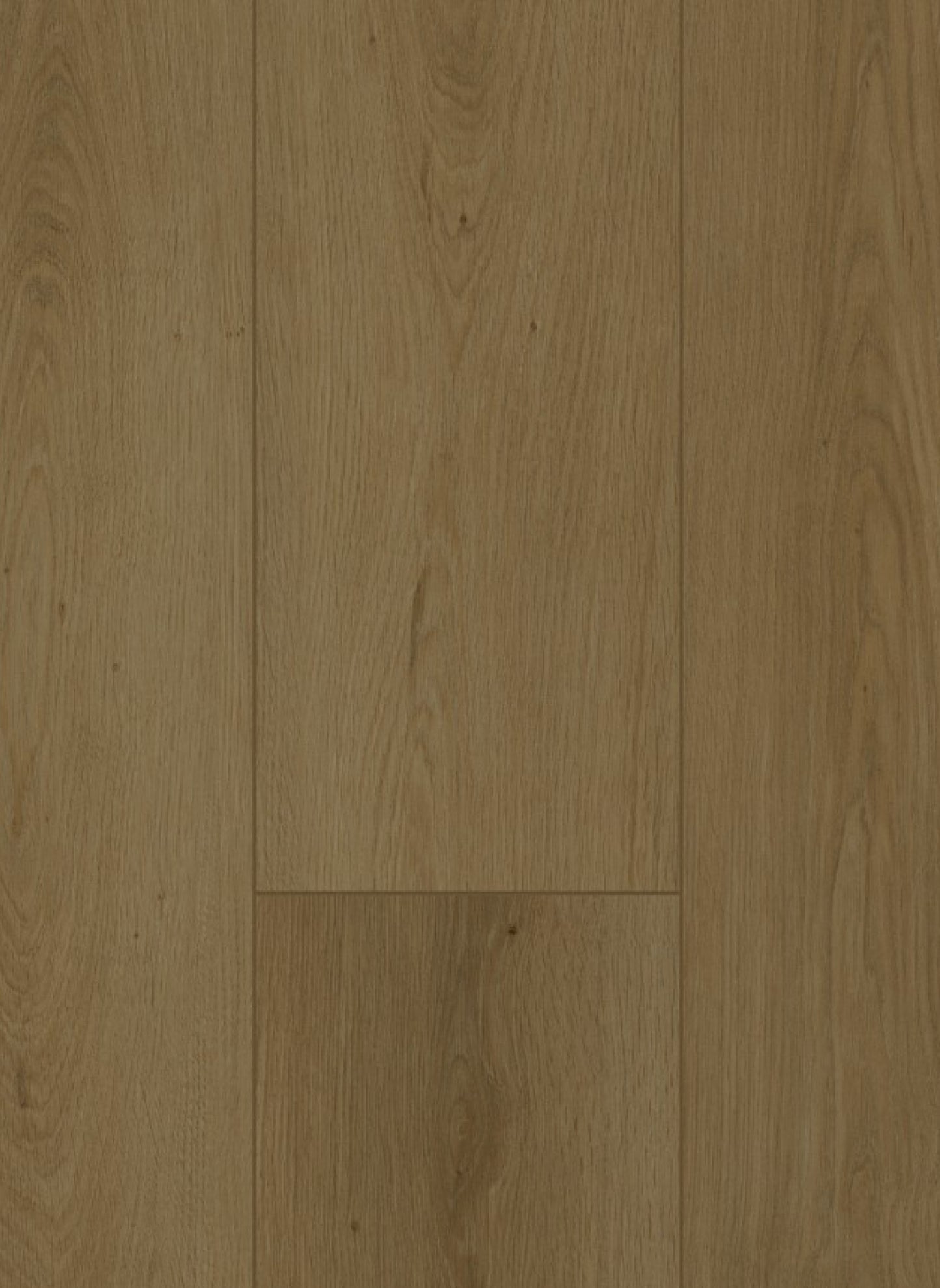 Summerfield Cinnamon - Firmfit 6702 (dryback)