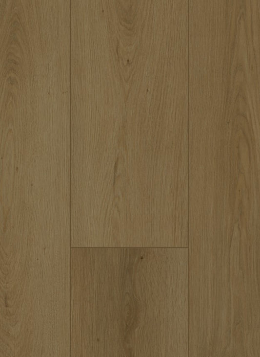 Summerfield Cinnamon - Firmfit 6702 (dryback)