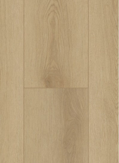 Sierra Light - Firmfit Silent 7500 (rigid click)