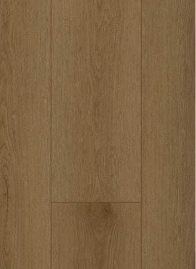 Sierra Brown - Firmfit Silent 7503 (rigid click)