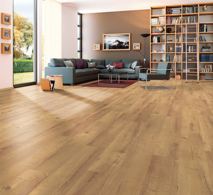 Polar Eiche - Classic 2818