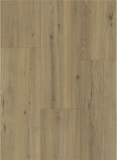 Disentis Oak - Maestro 80631