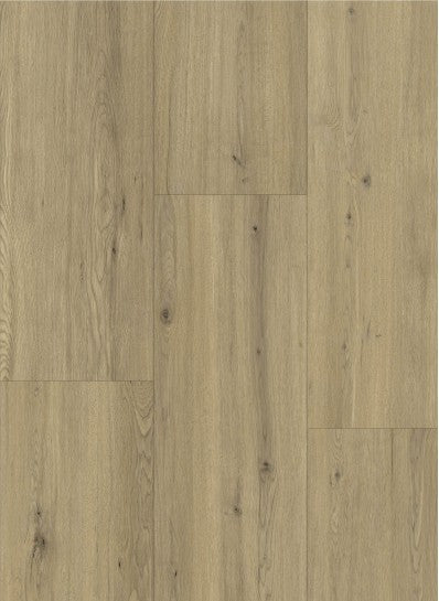 Tasmins Oak - Maestro 80651