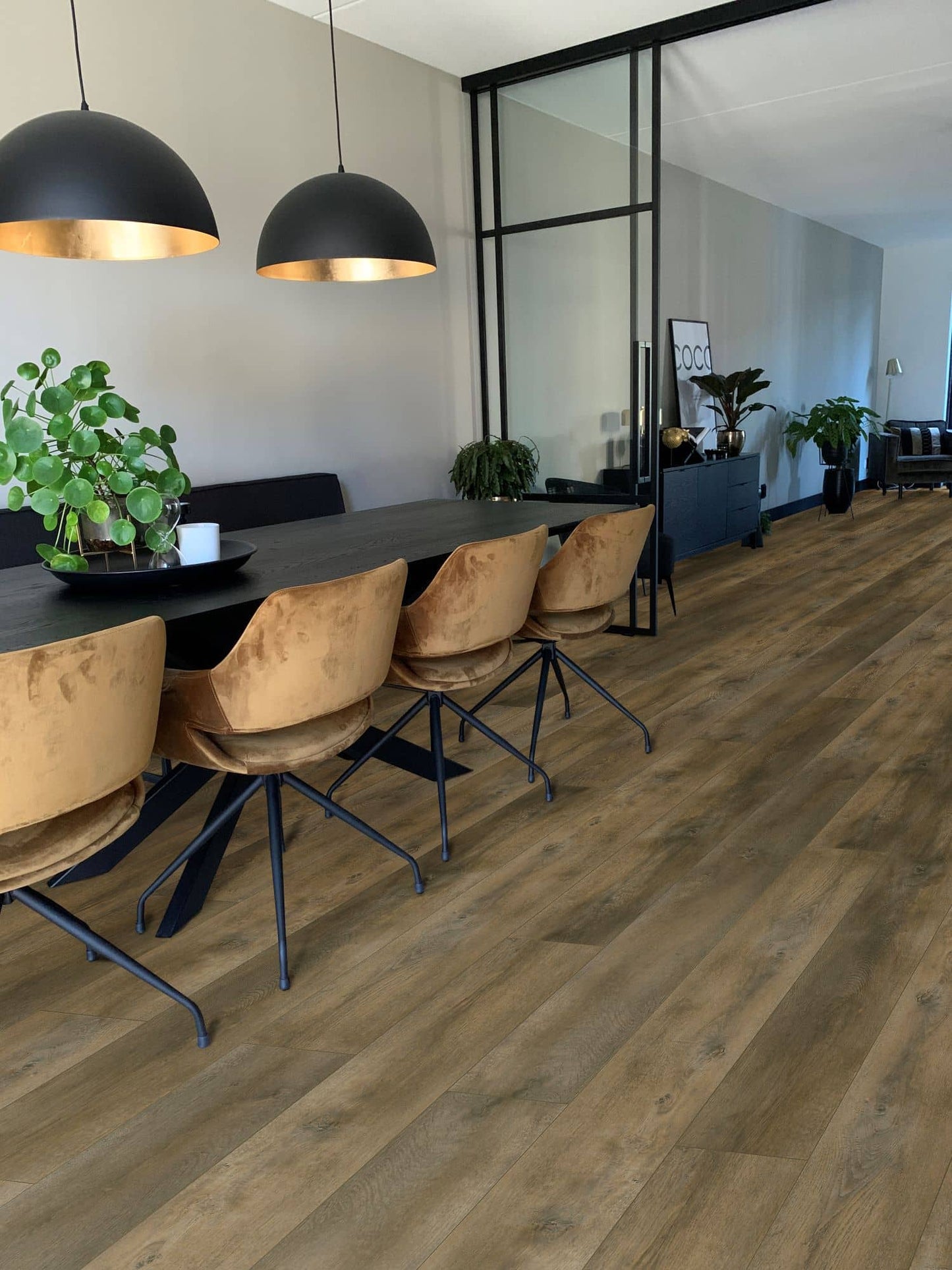 Valley Oak Pepper - Nevada 6001 (dryback)