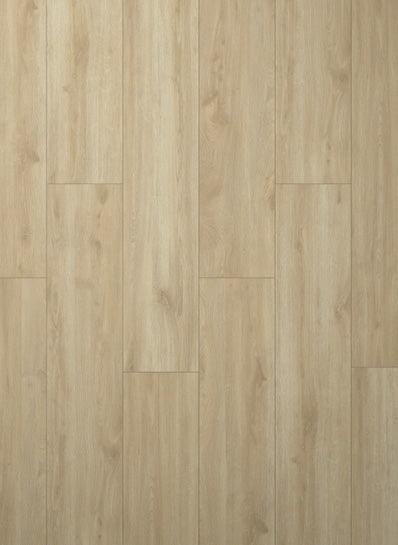Cream Oak - Noblesse Classic 40171
