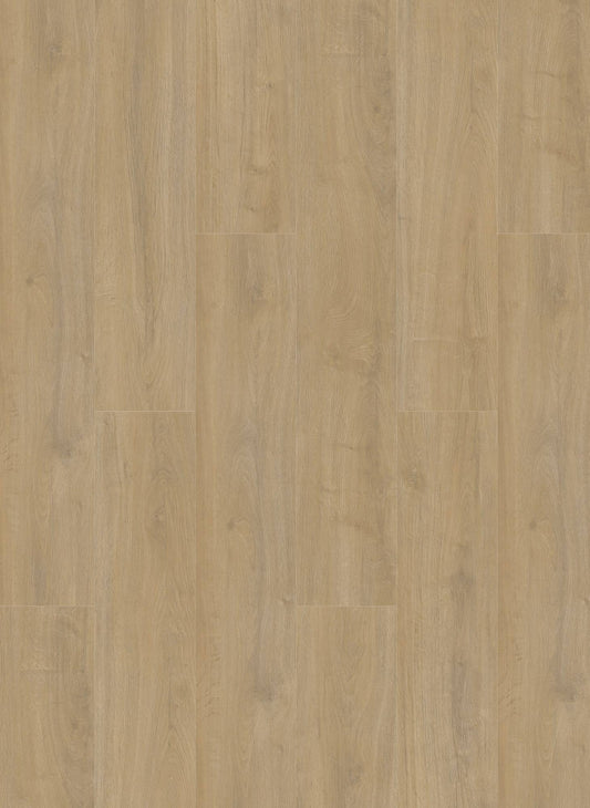 Lime - Oakland 6100 (dryback)