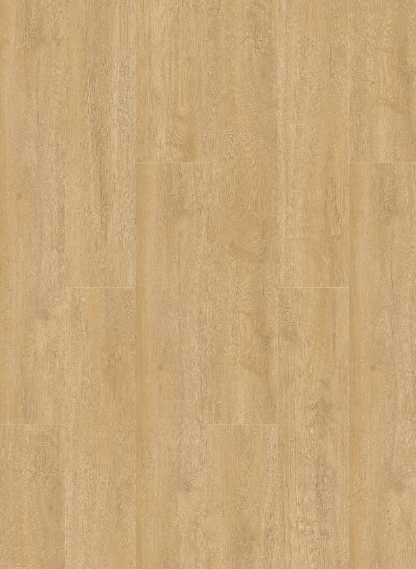 Desert - Oakland 6102 (dryback)