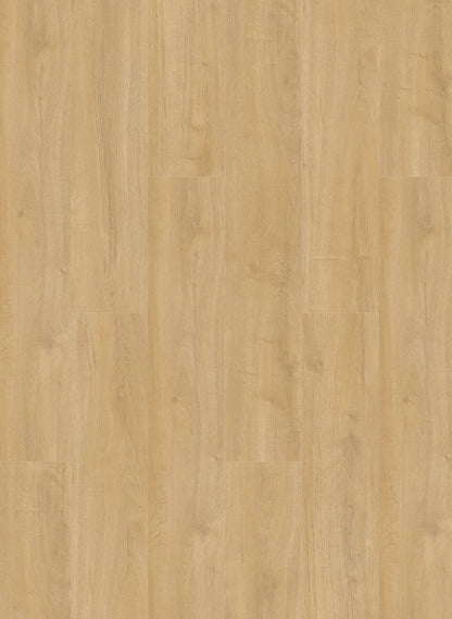 Desert - Oakland 6102 (dryback)