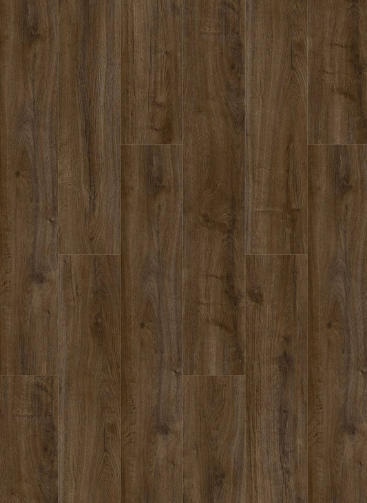 Coffee - Oakland 6103 (dryback)