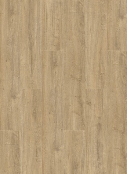 Smoked - Oakland 6104 (dryback)