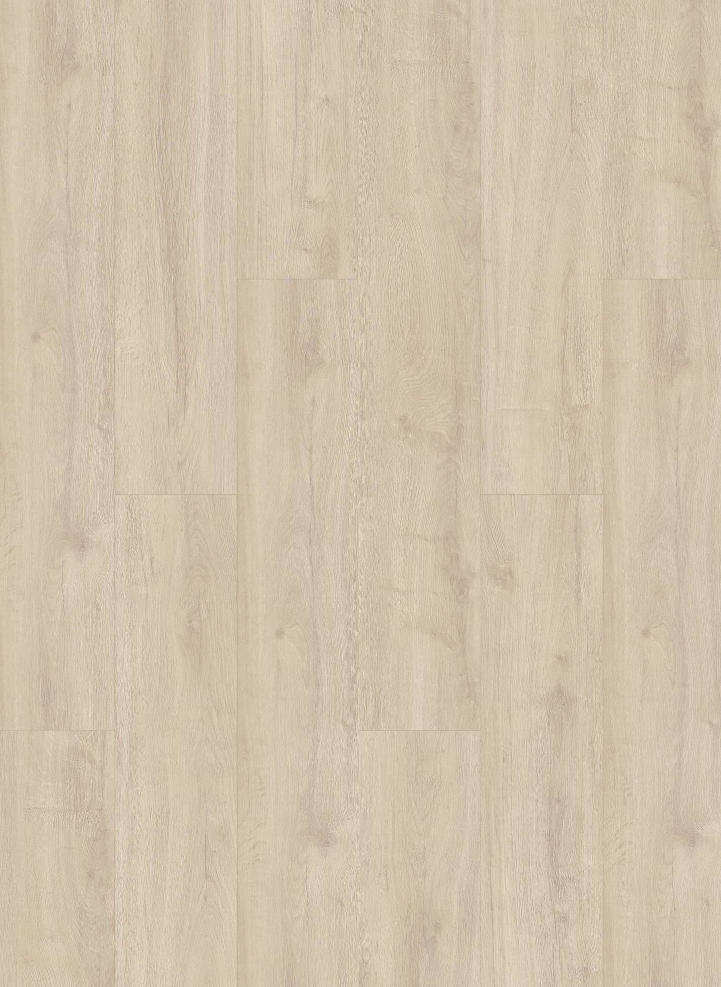 Ivory - Oakland 6105 (dryback)