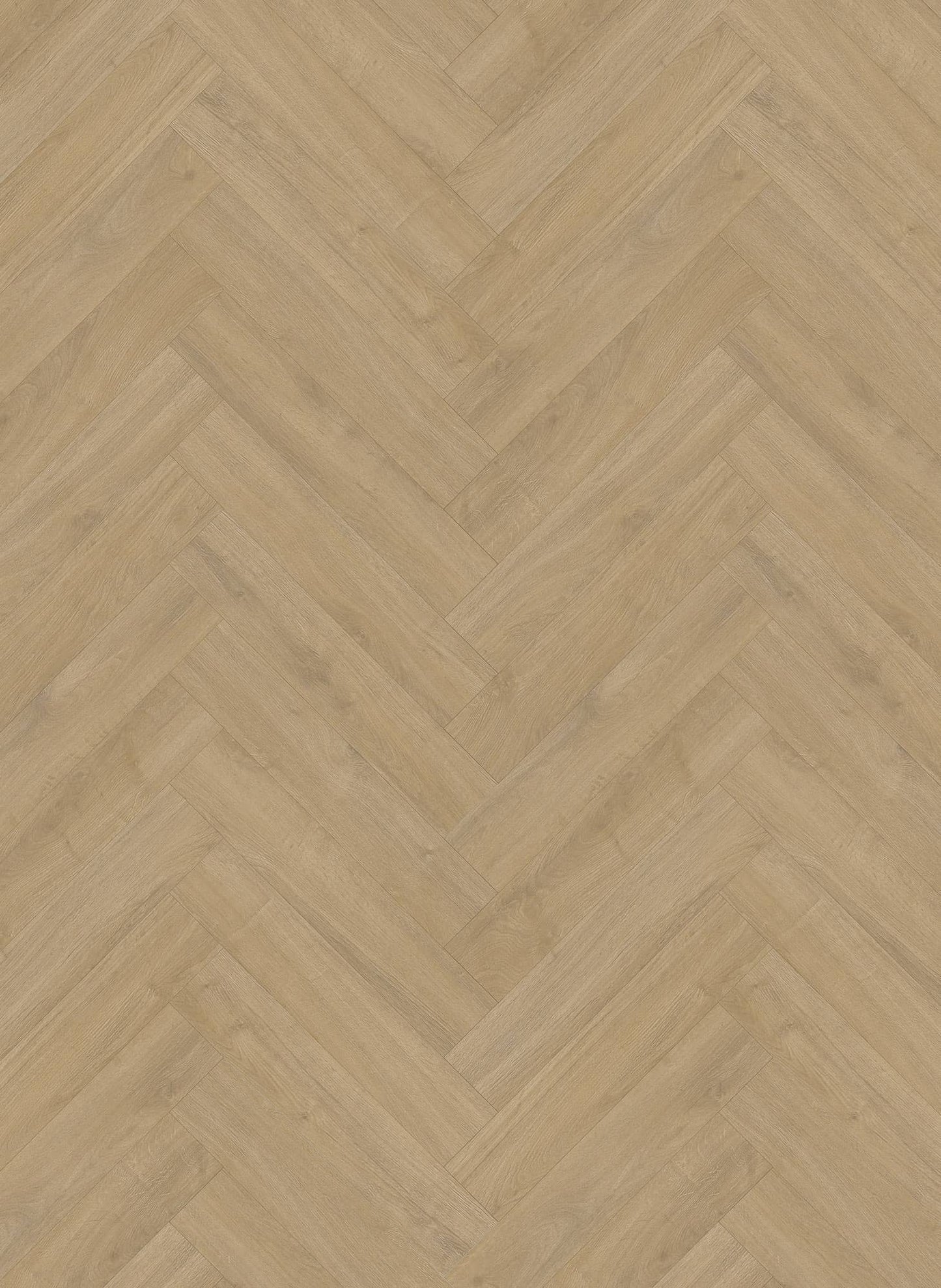 Lime - Oakland Visgraat 6200 (dryback)