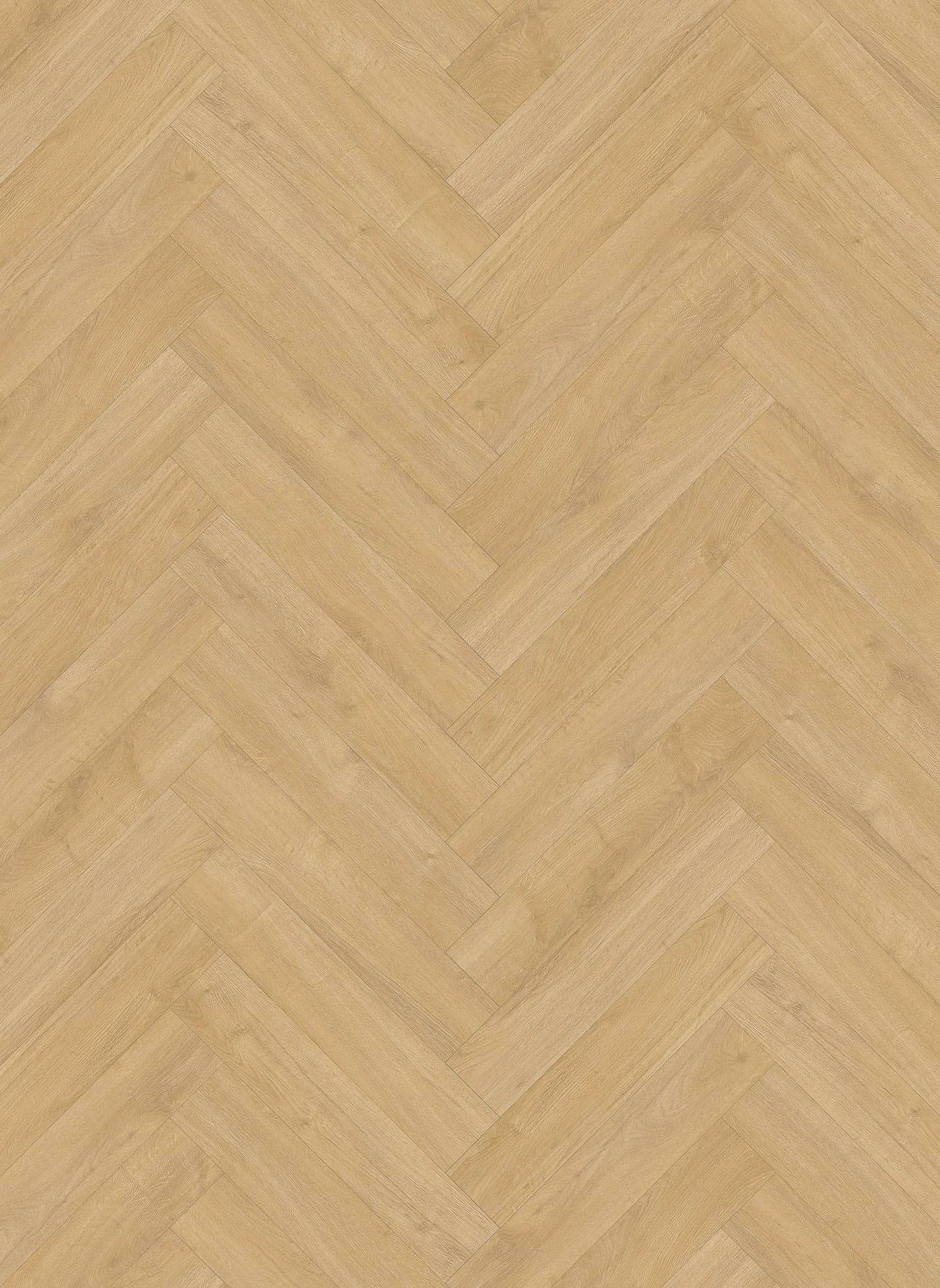 Desert - Oakland Visgraat 6202 (dryback)