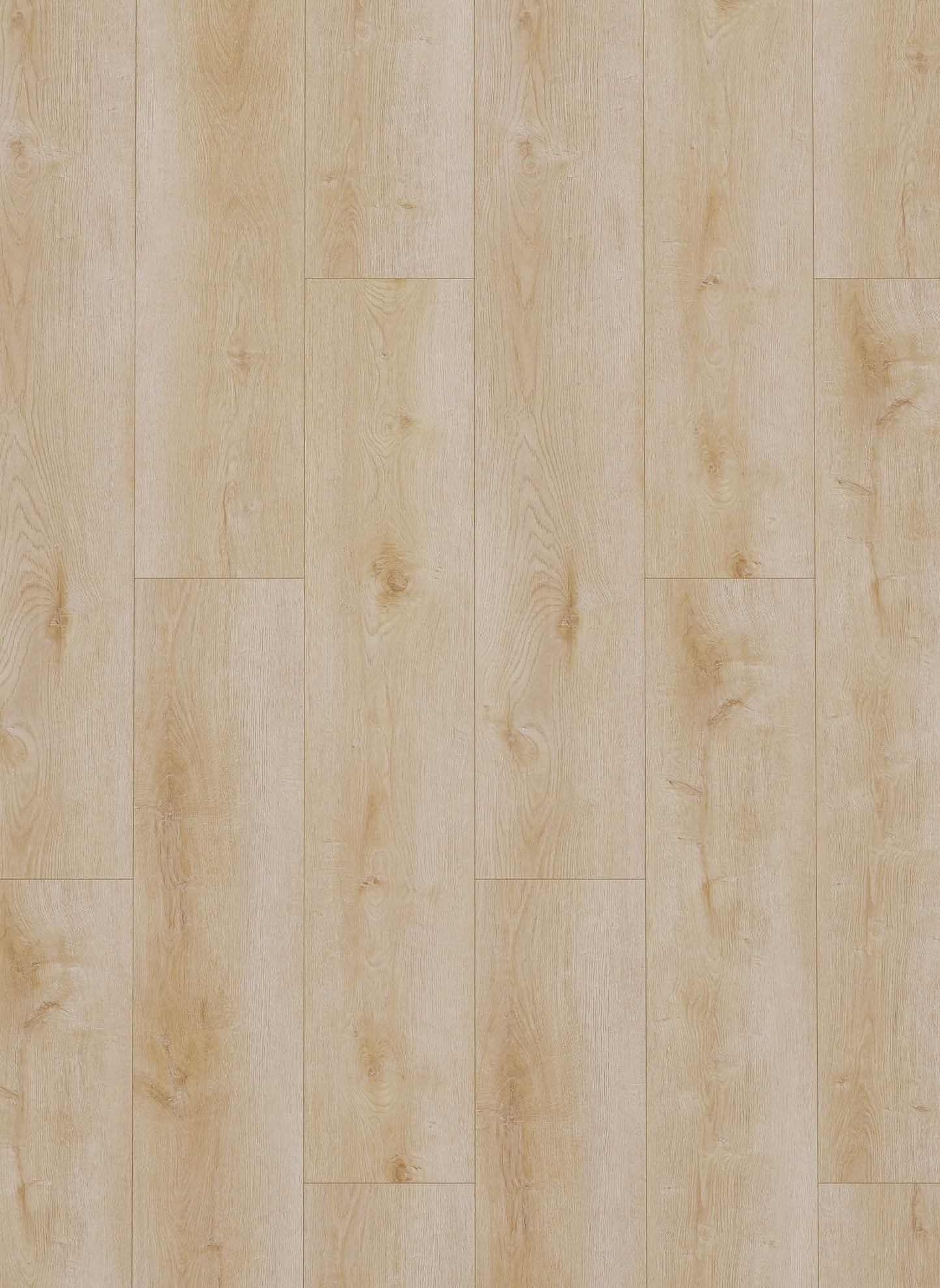 Natural Light - Dynamic 2500