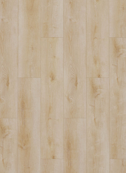 Natural Light - Dynamic 2500